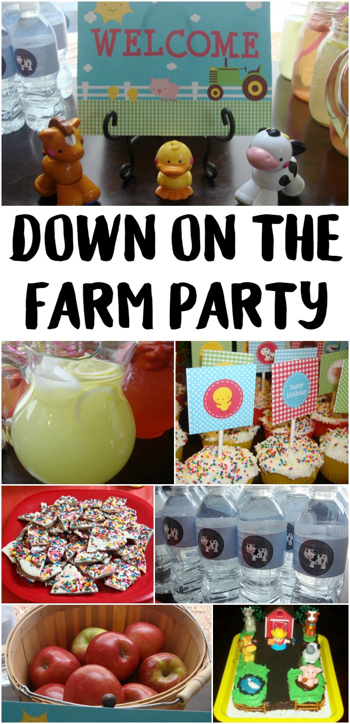 Down on the Farm Party